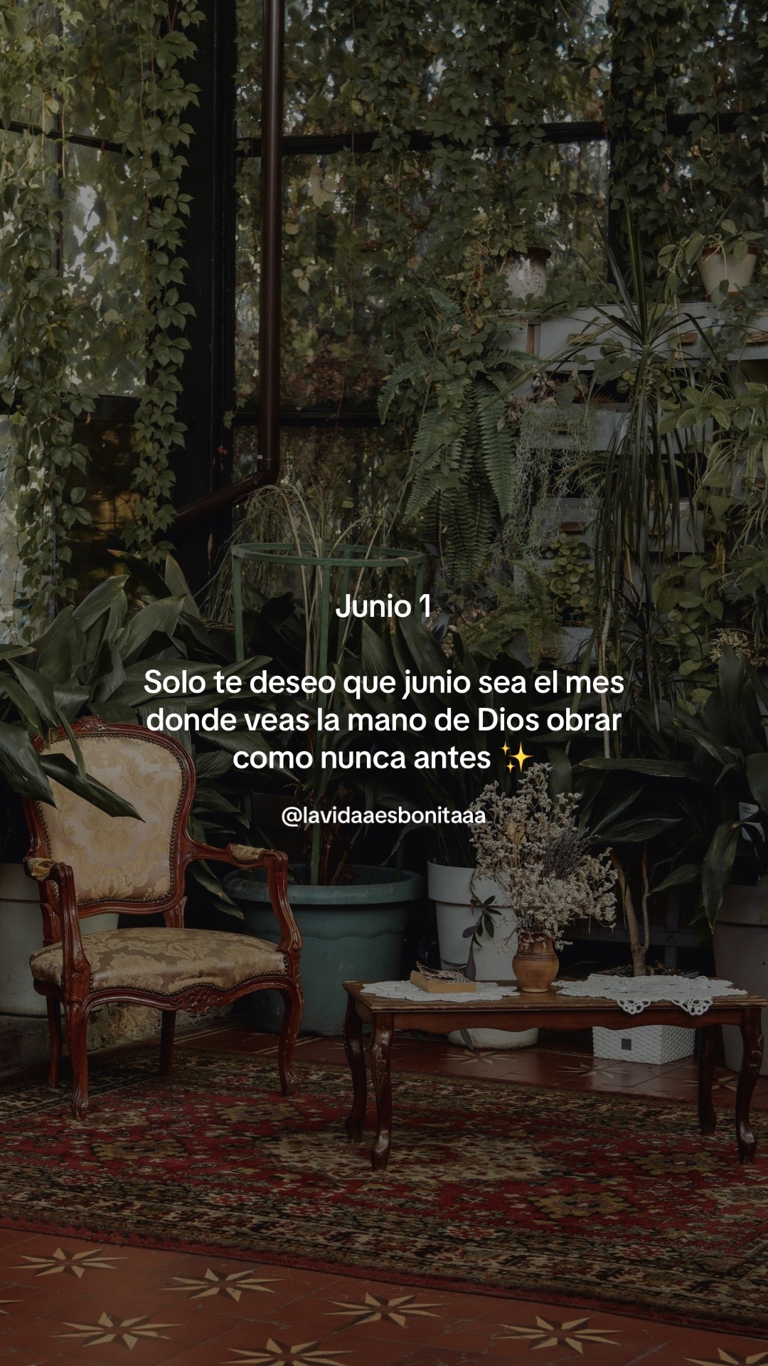 @vidabonita❤️&zwj;🩹