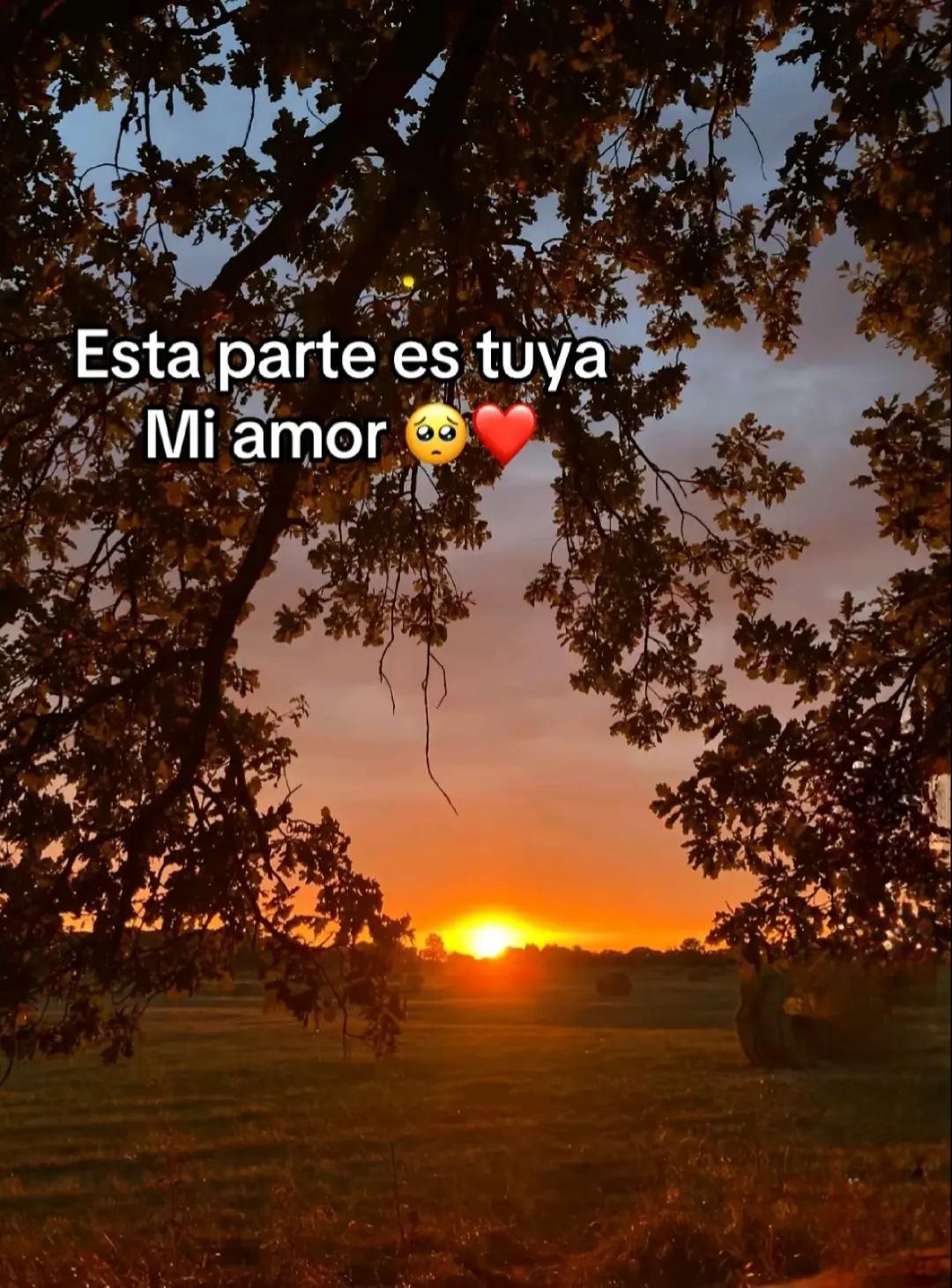@user62143671287
