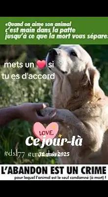 @Marie 👩&zwj;🦳 et Jolicoeur🐶🐾