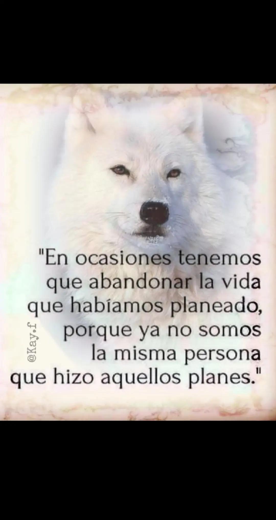 @🐺🐺 EMILIO loureda🔥🔥#
