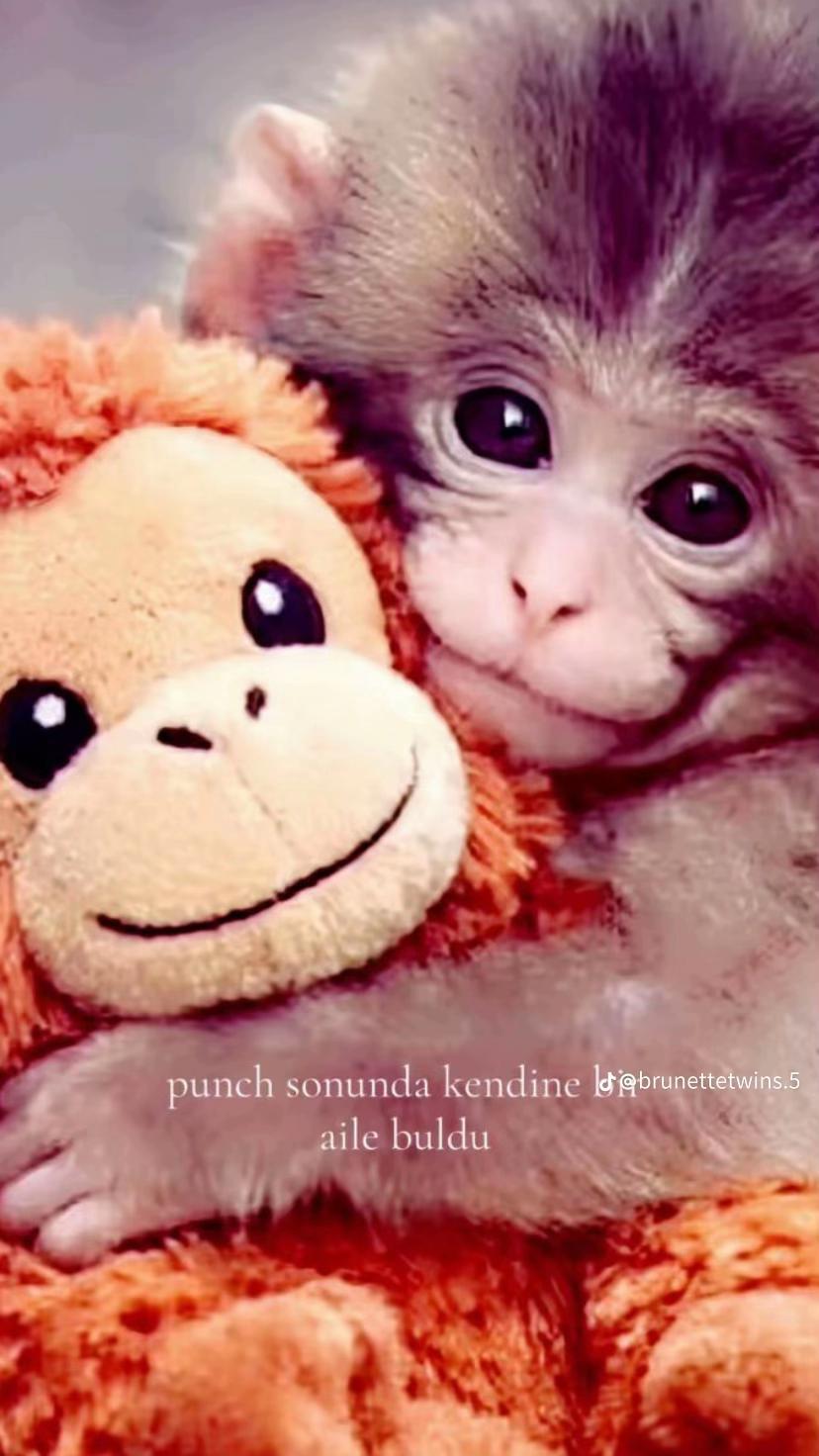 @deriiin’ss