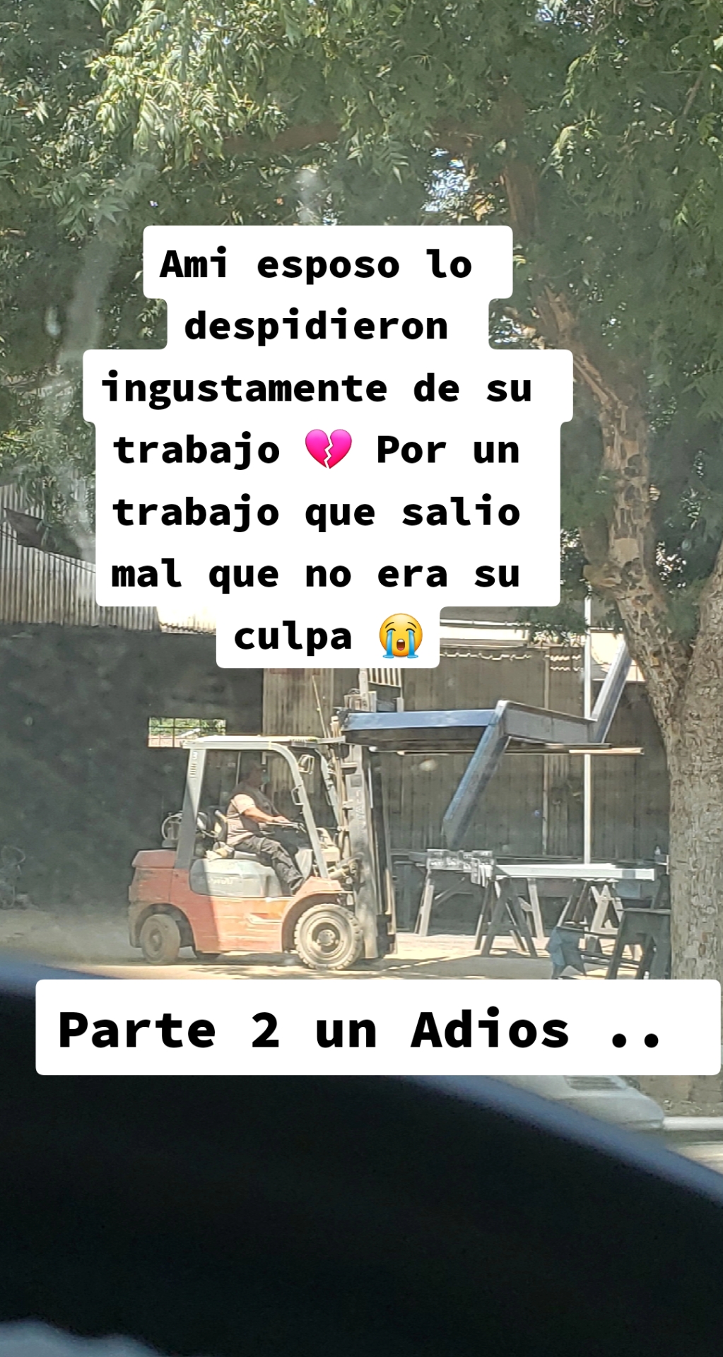 @la_moni