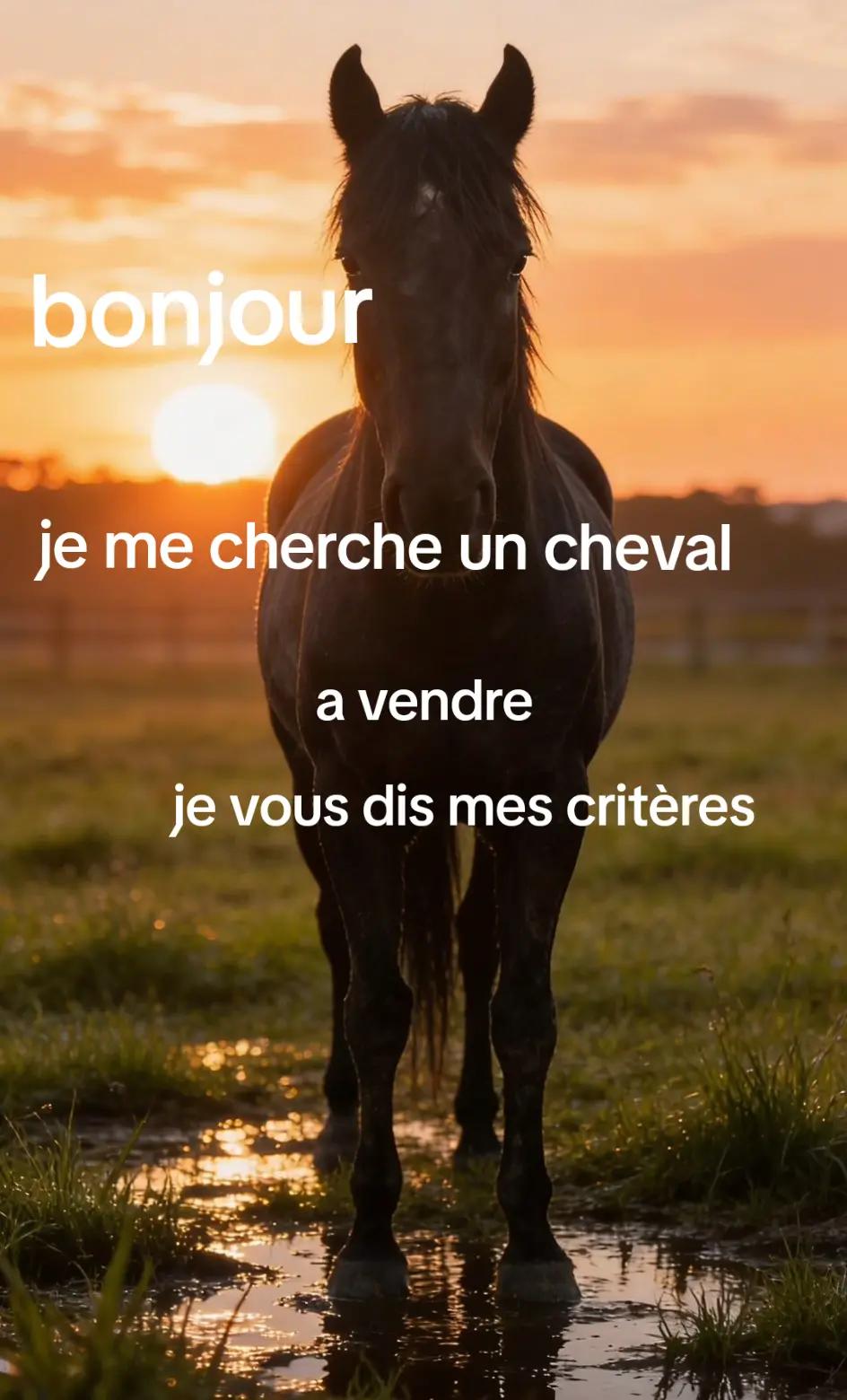 @flica et Nelly