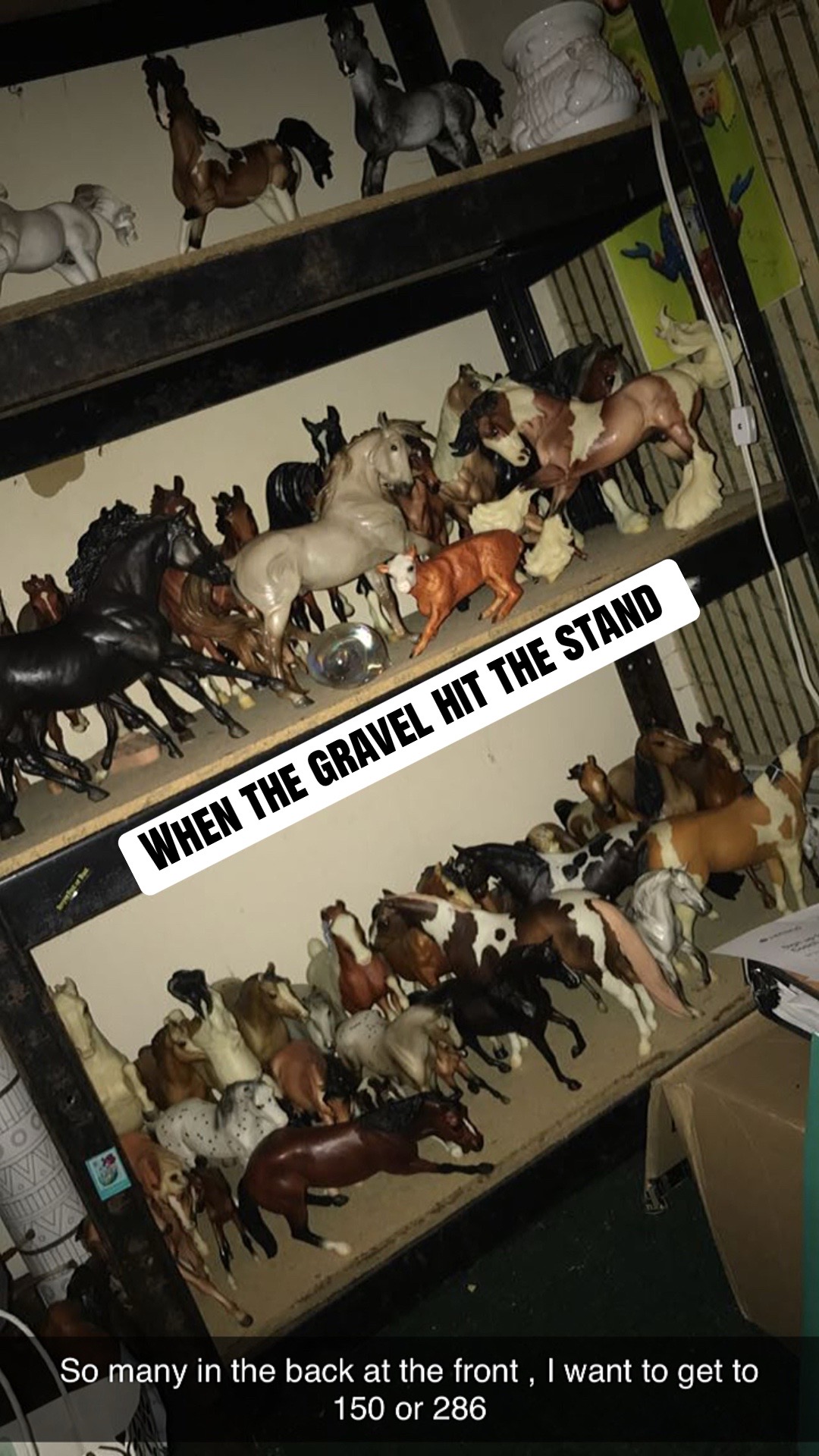 @🤎➰🩵𝓪𝓵𝓲 🩵➰🤎