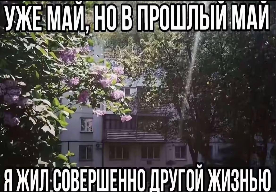 @ТГК:Ангелова в чате