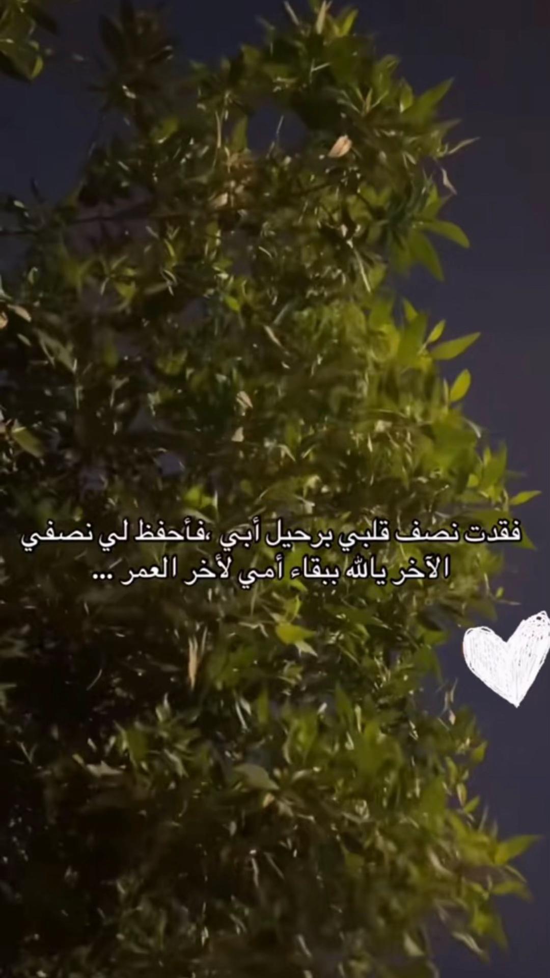 @بقــآياآ شعـــور.. ღ