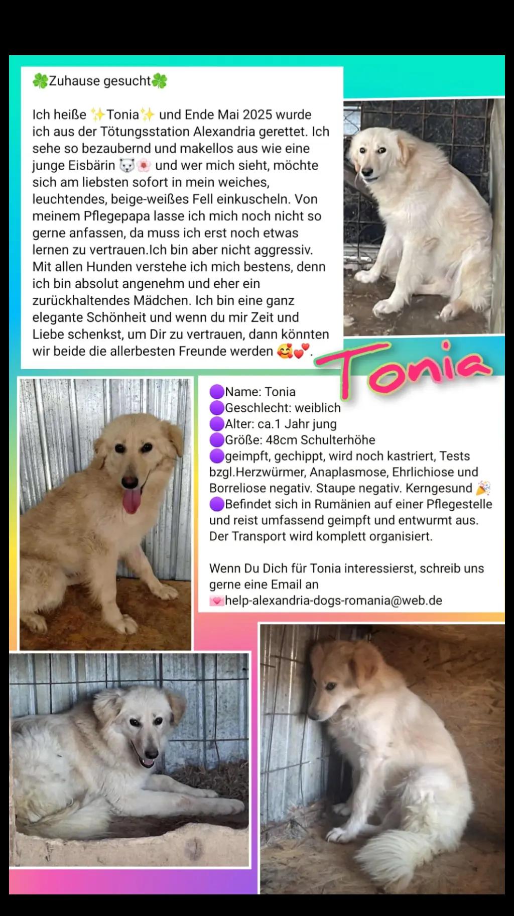 @rescuersalexandria