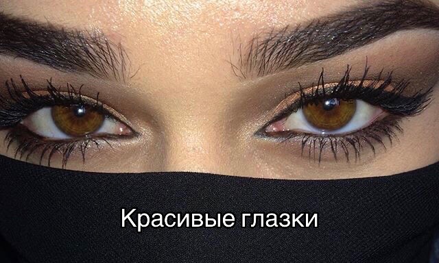 @ddaniev1
