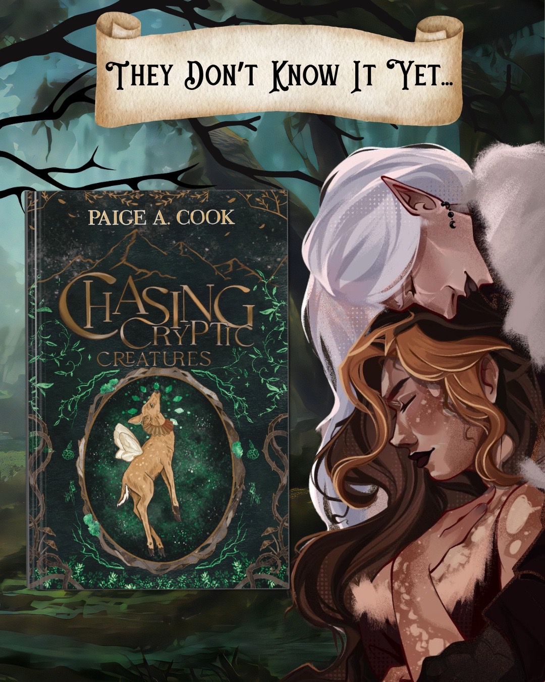 @Author Paige A. Cook
