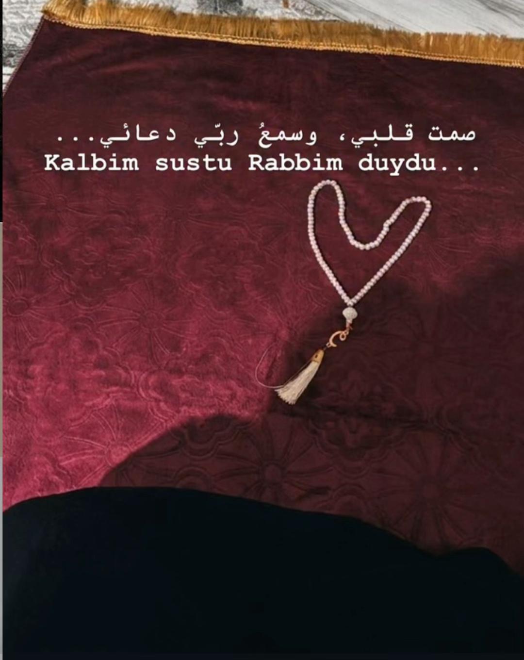 @ravzanur740