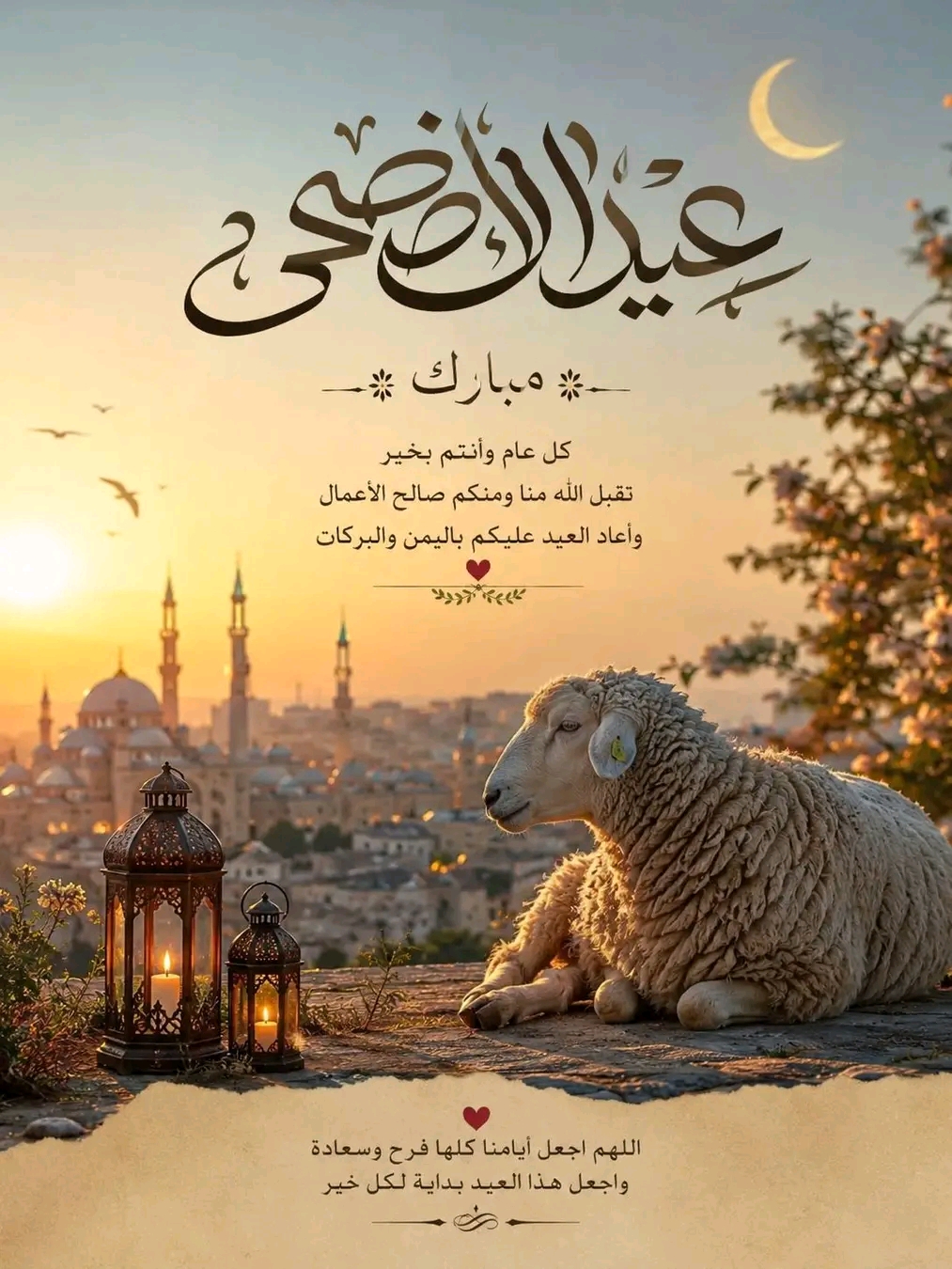 @Moha_DZ