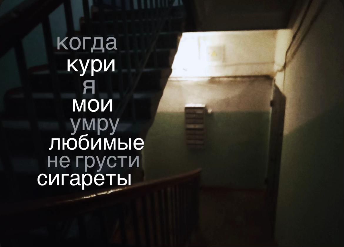 @mouzz