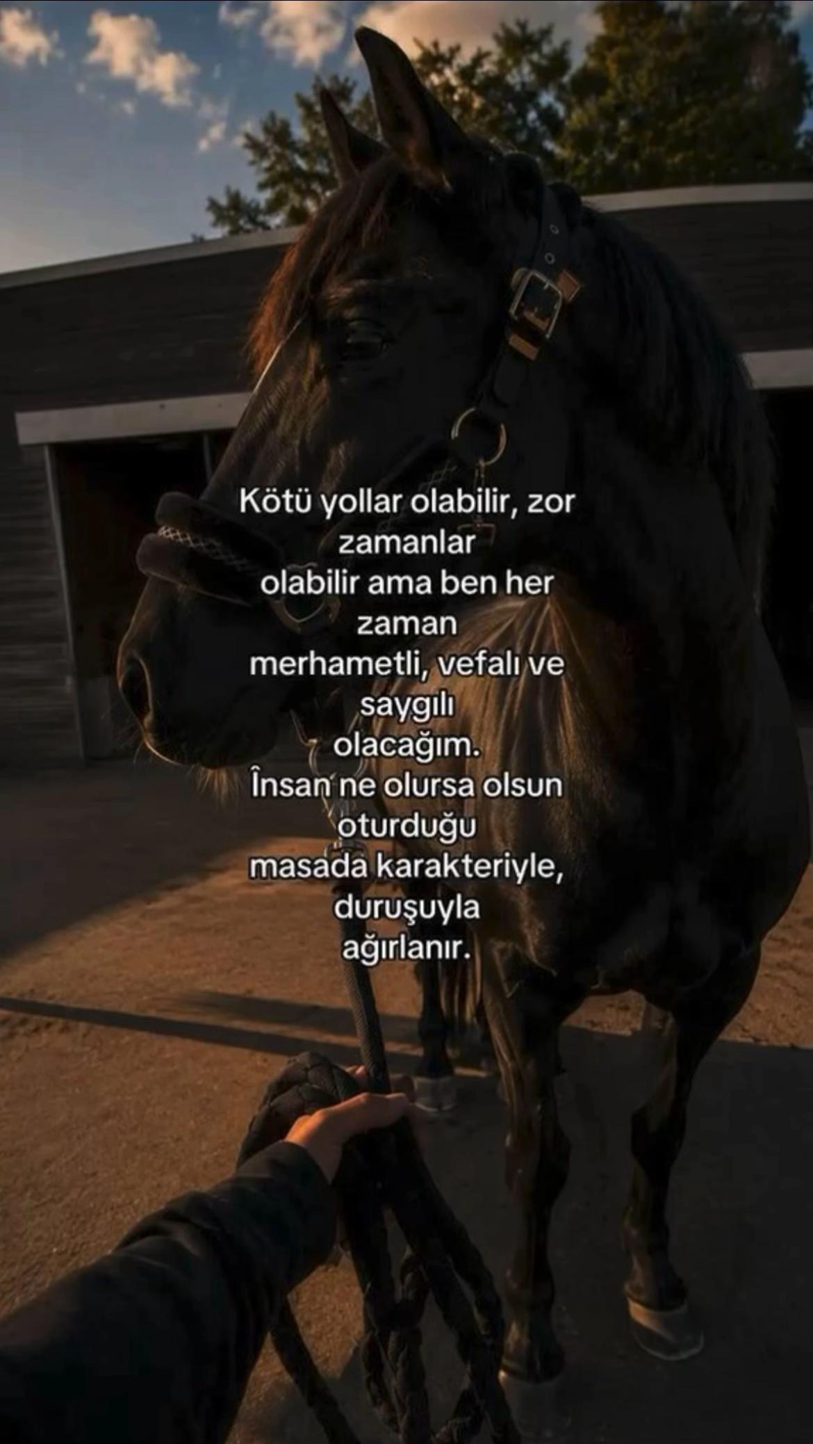 @𝓒𝓮𝔂𝓵𝓪𝓷