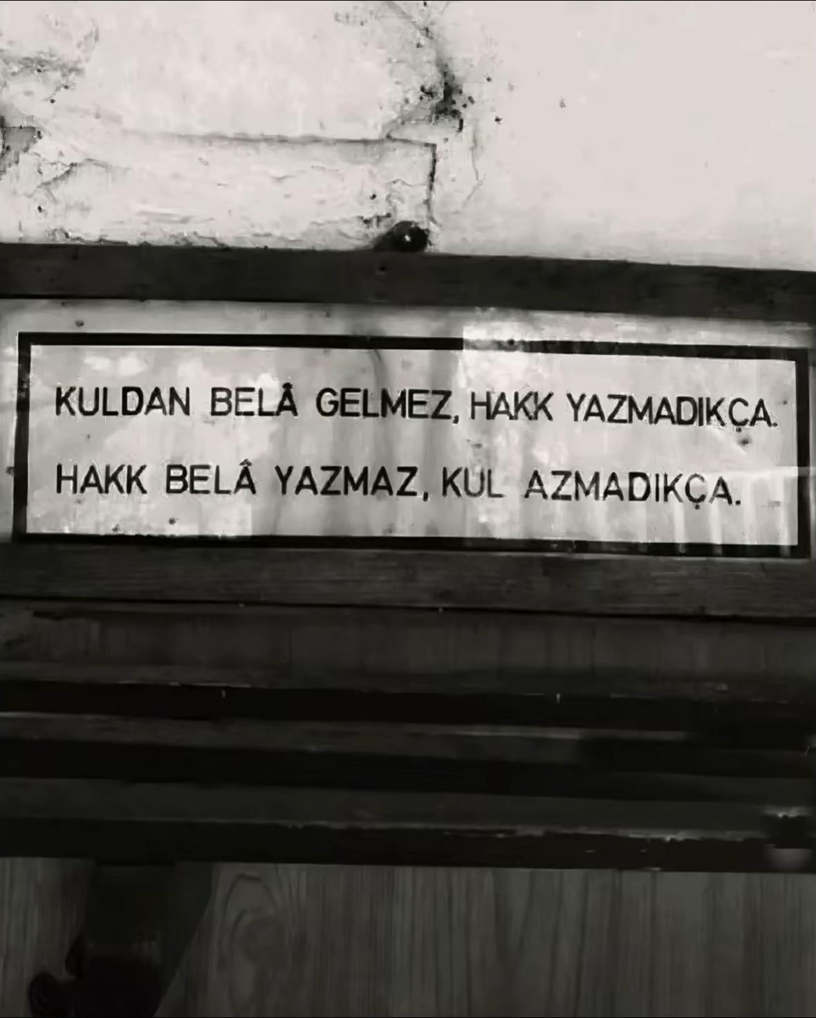 @adilyildizz7