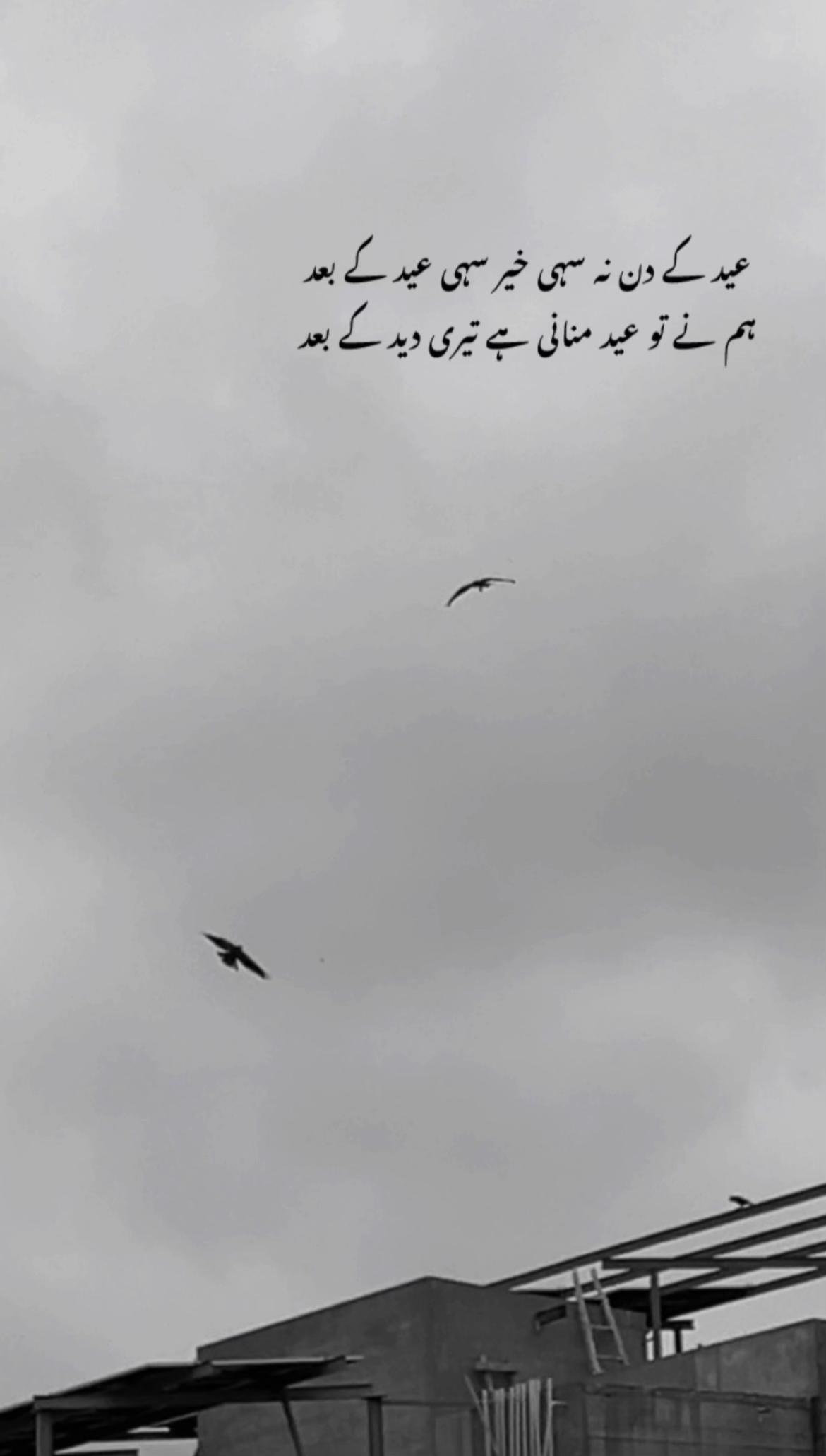 @دانیال ۲۰۰۸