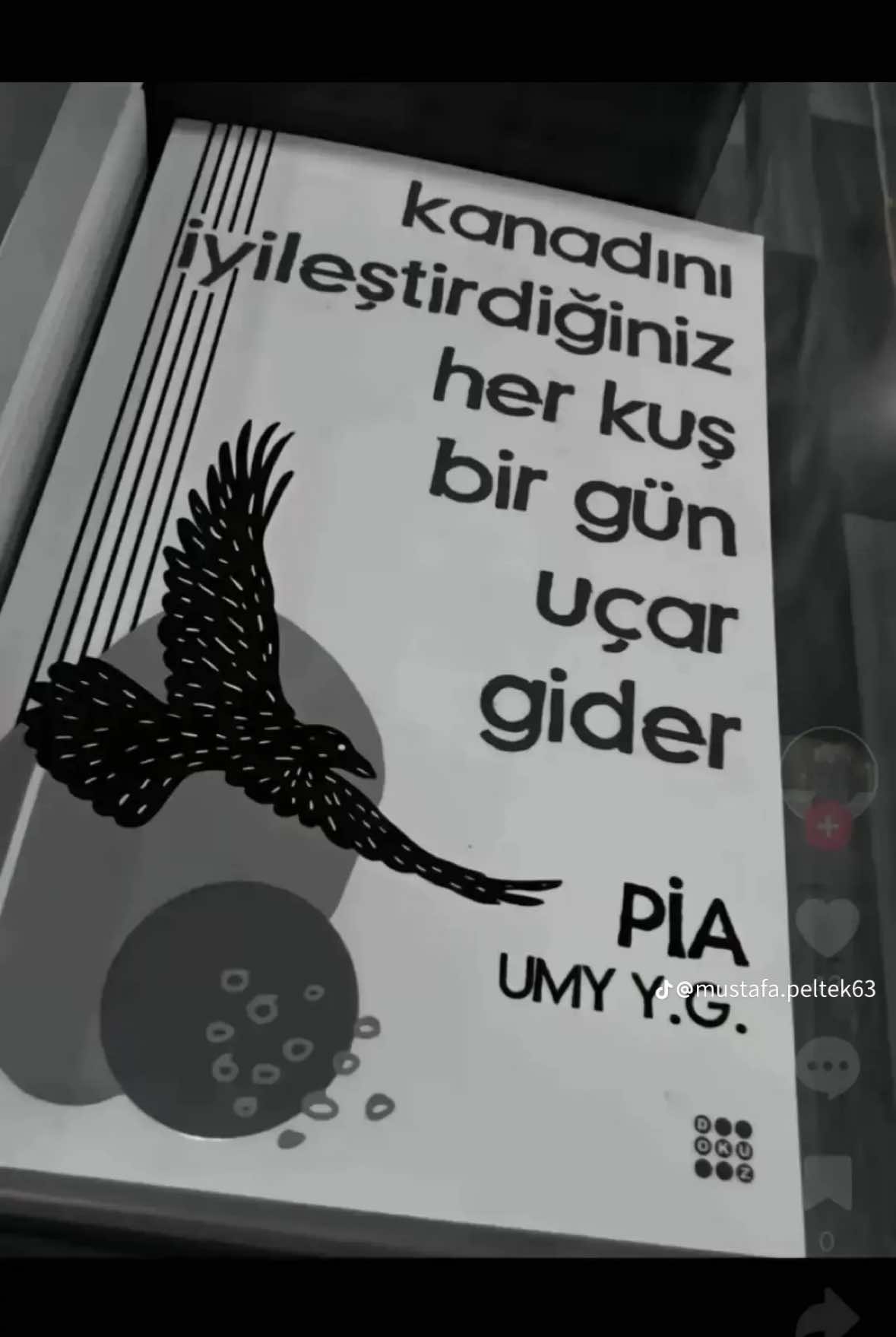 @Şimşek ❤️🔥🦅