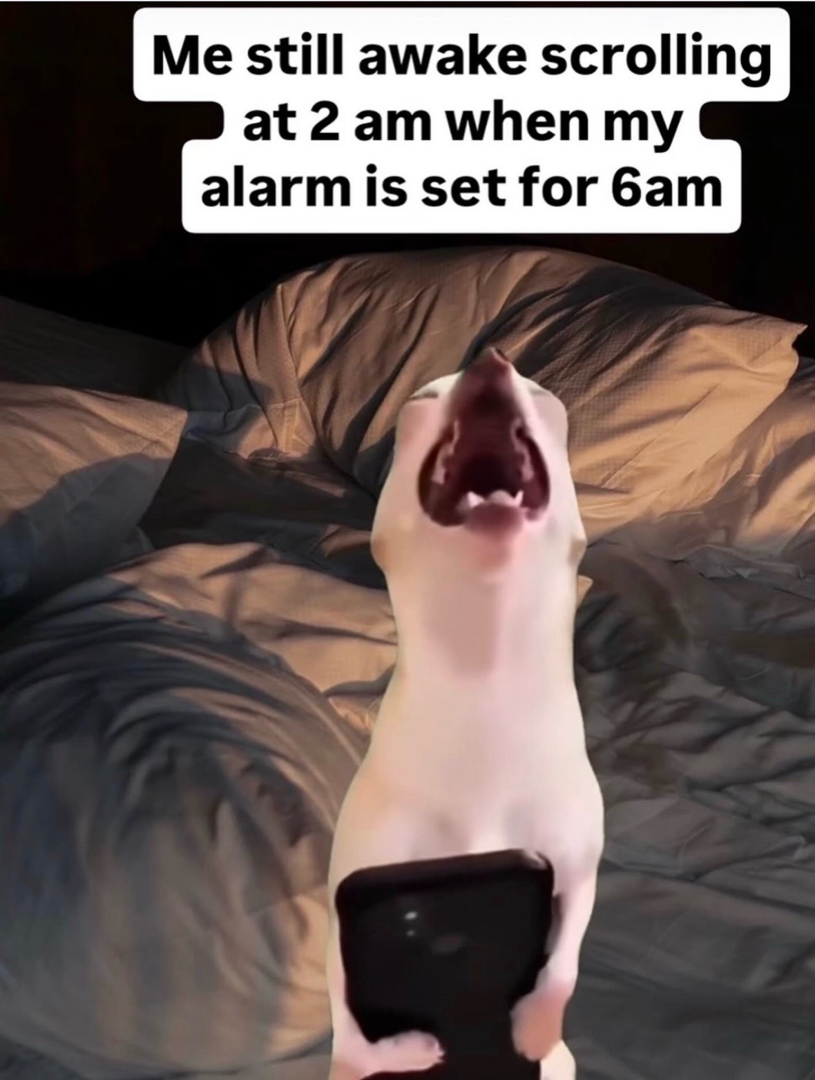 @mysteryladysmile1