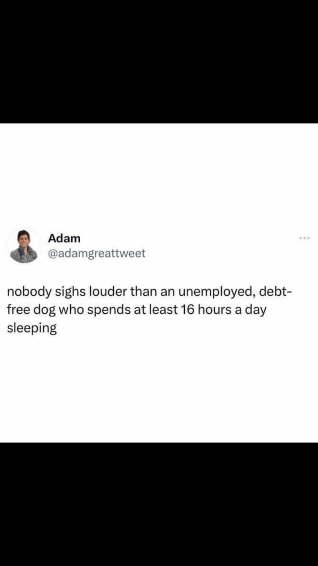 @authorwiththejokes