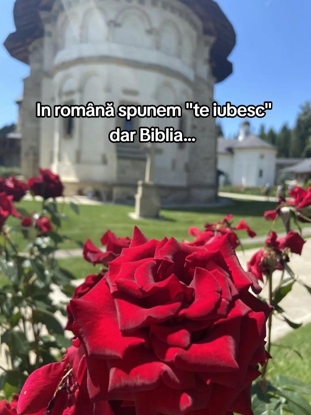 @𝑮𝑰𝑵𝑨&𝑨𝑩𝑬𝑳 𝑴𝑼𝑺𝑰𝑪❤️