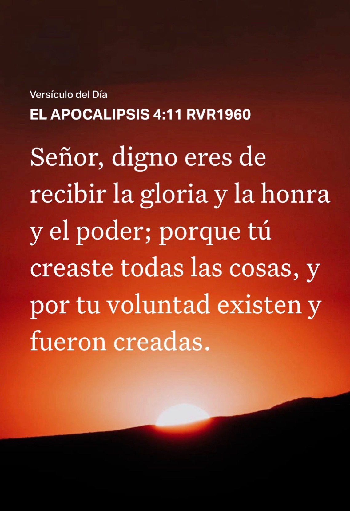 @Irma Hern&aacute;ndez