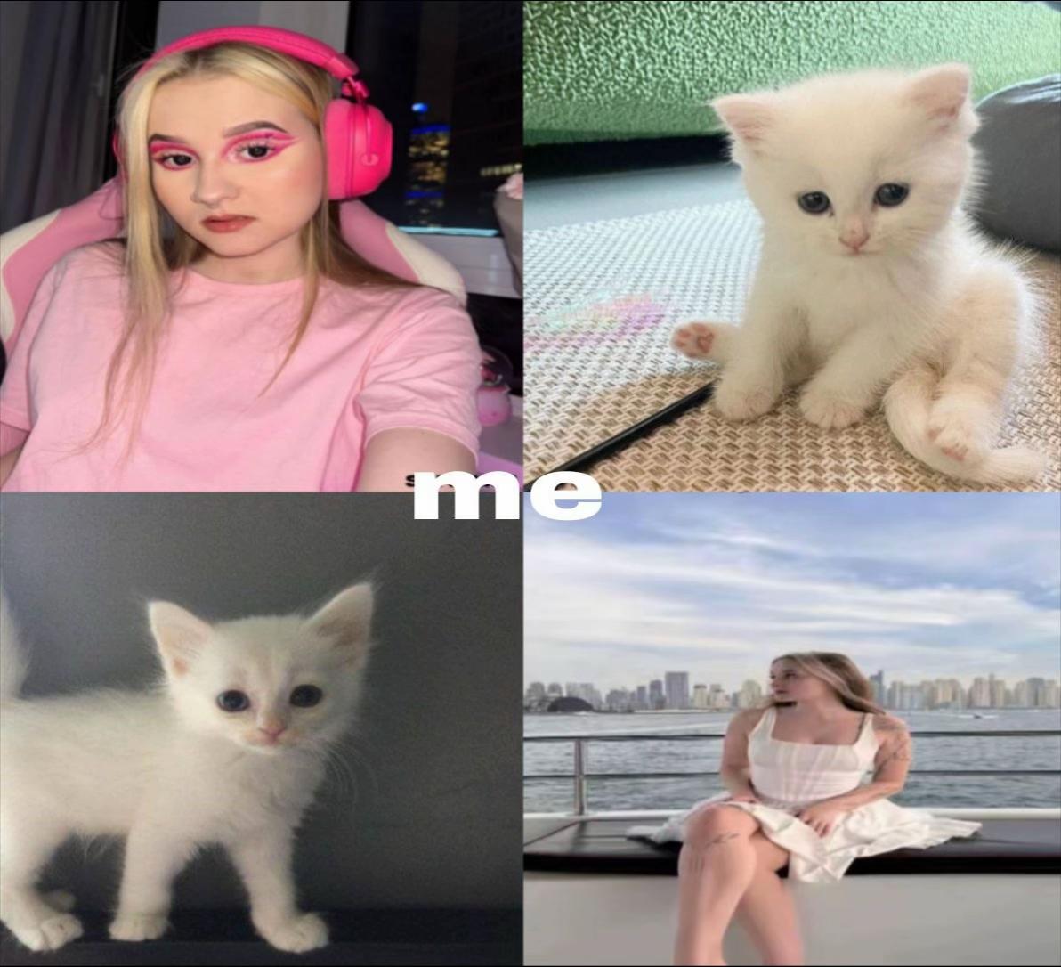 @бездарная кошка