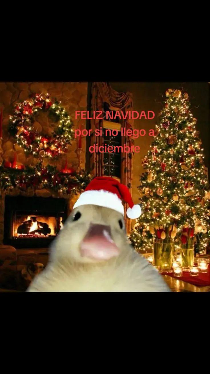 @Mallerly
