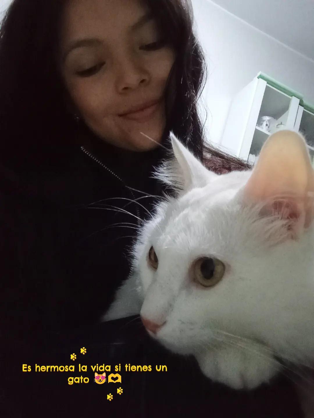 @🍀Mercedes 🐈🫰