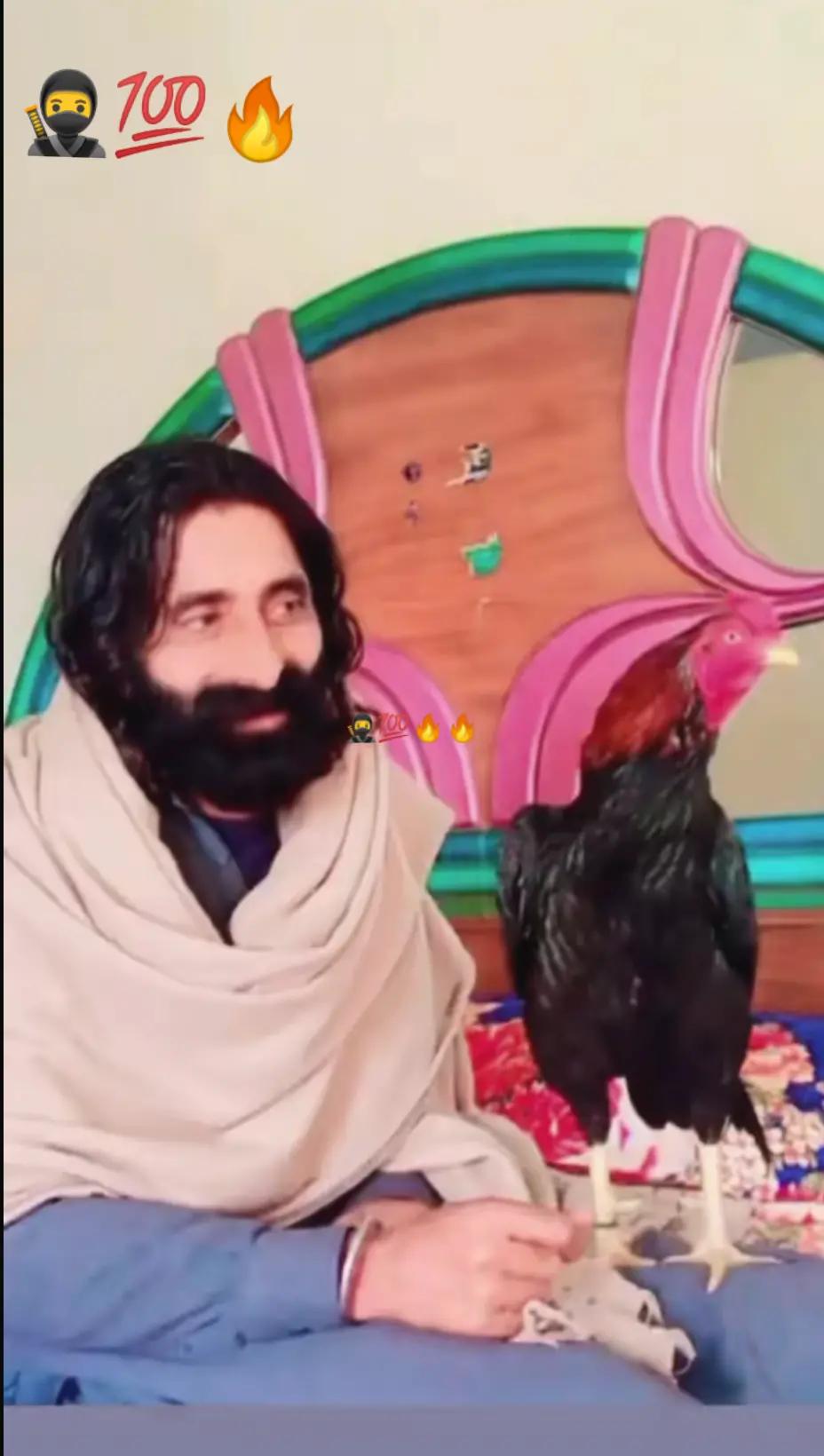 @Raja Mazhar