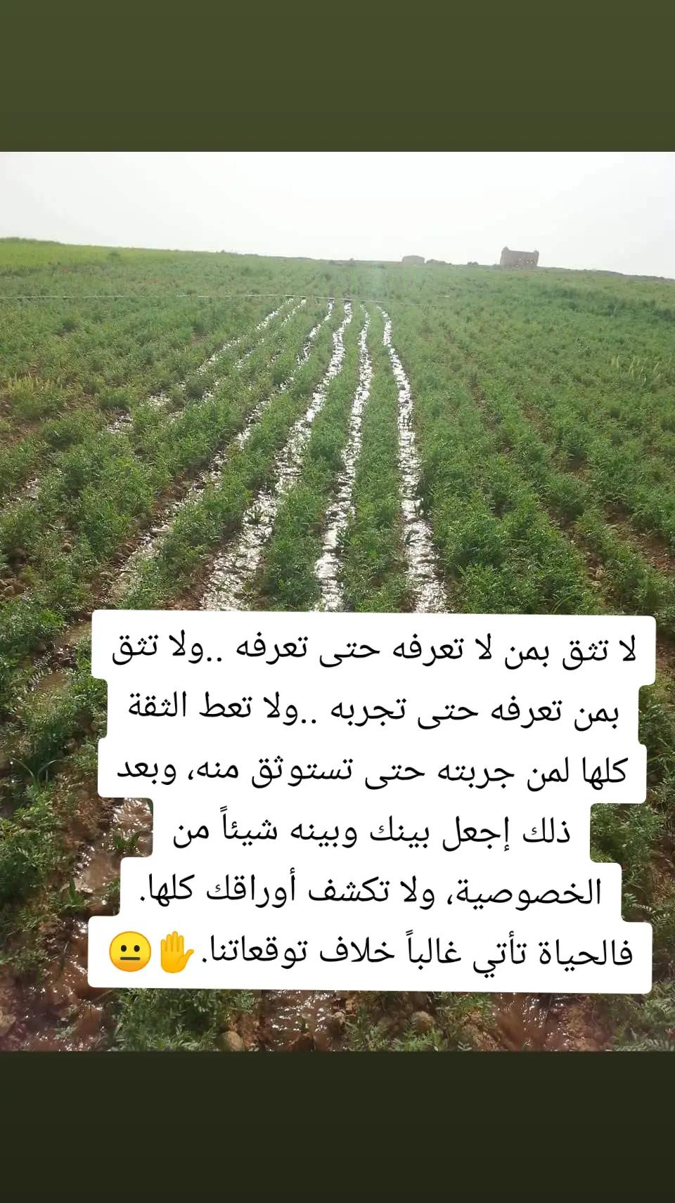 @آلُـِـِِـِِِـِِـِـطُـٌـٌٌـٌير