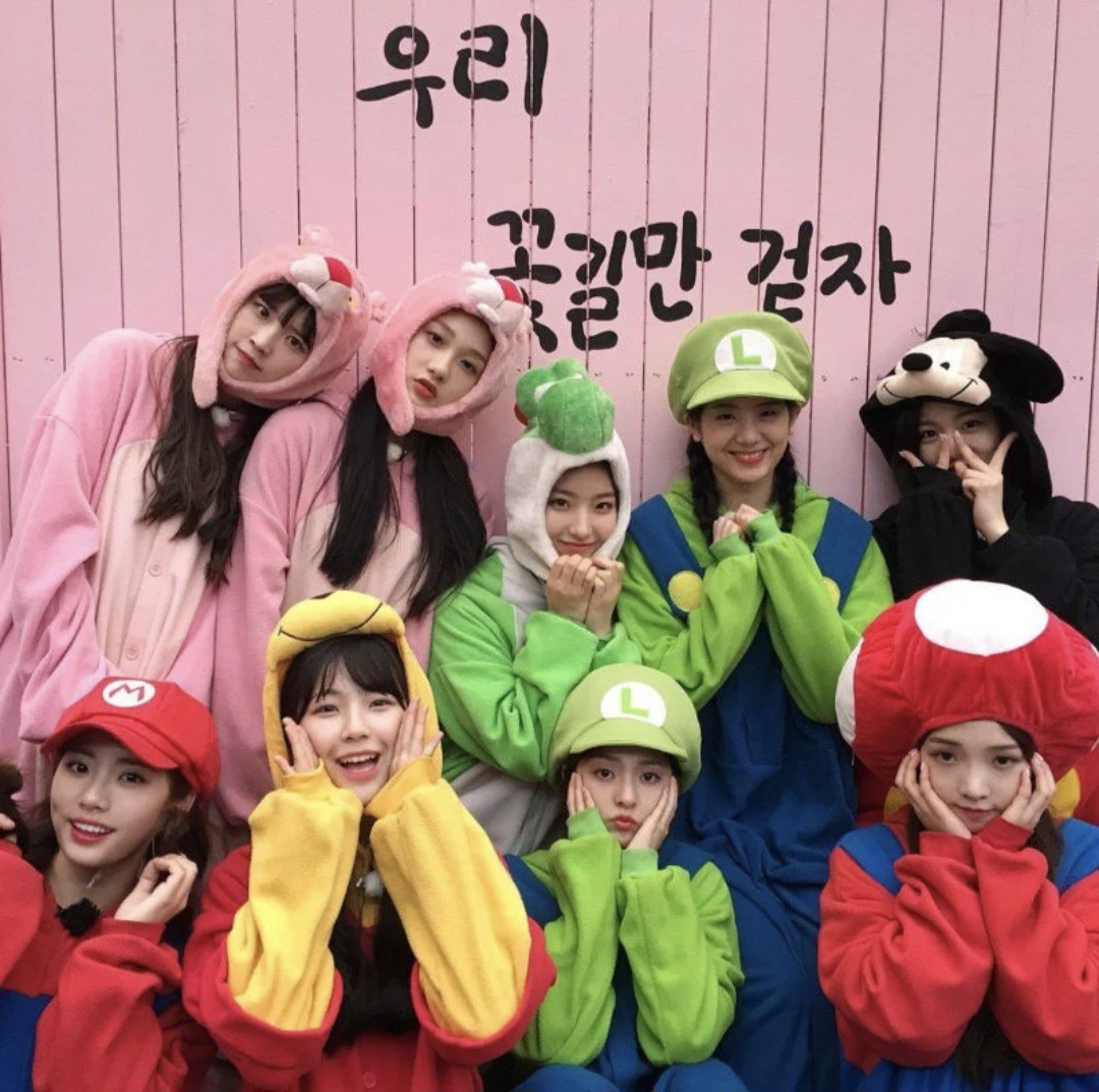 @프로미스나인 팬계정