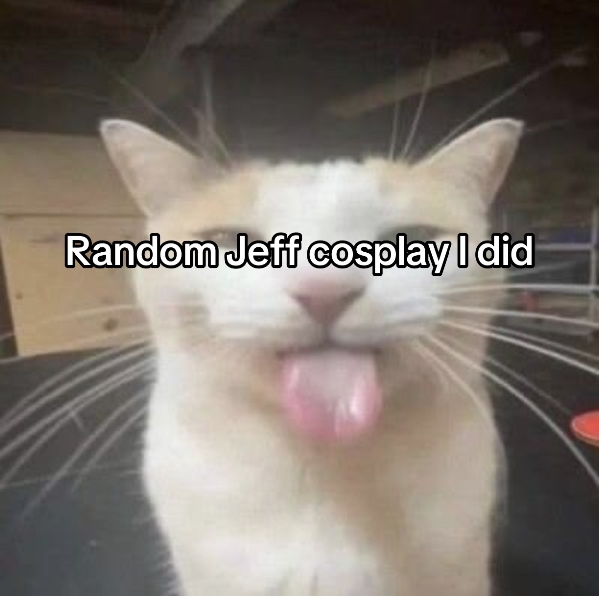 @Tiny..Ferret