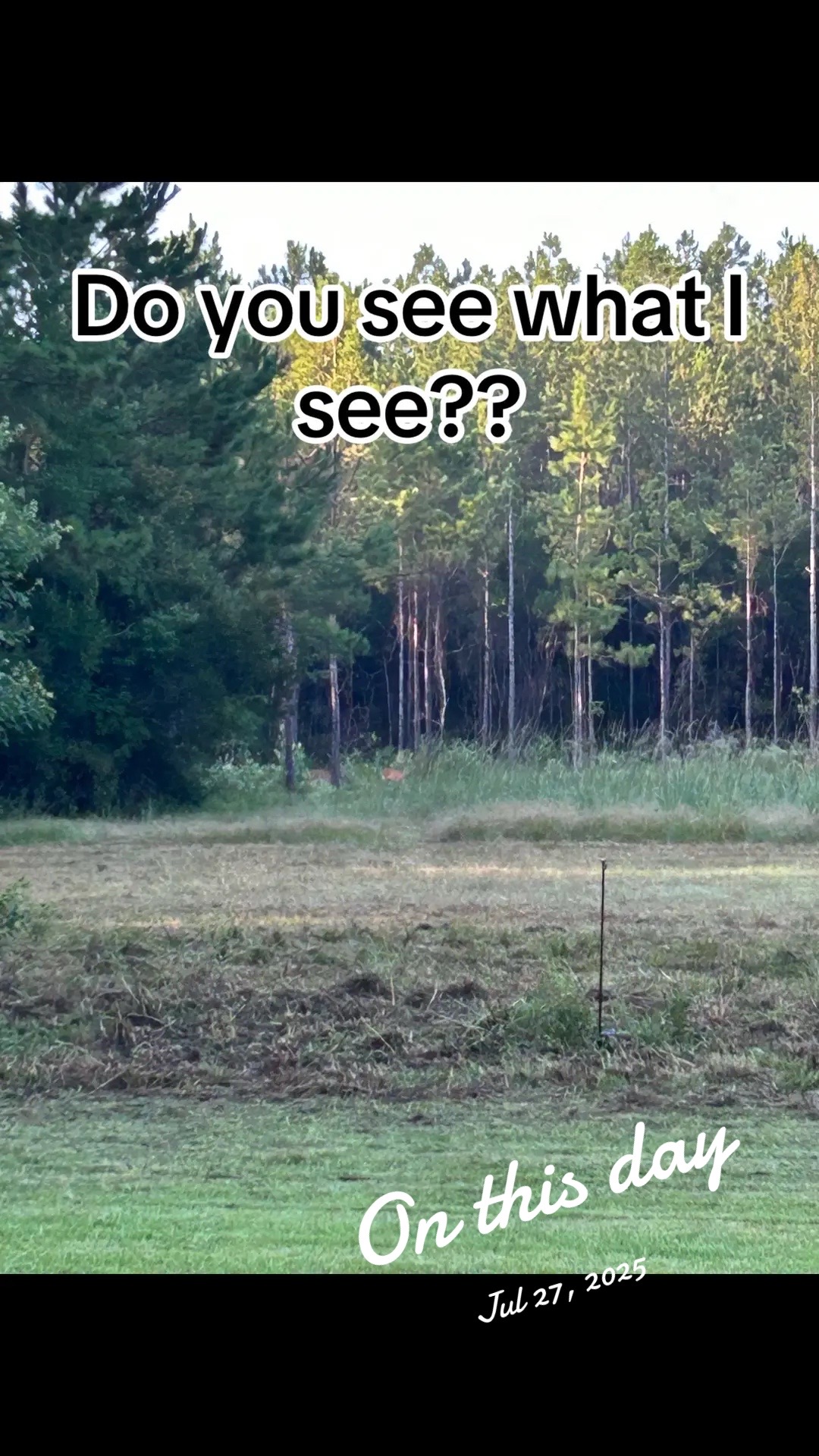 @devotedsportsmen23