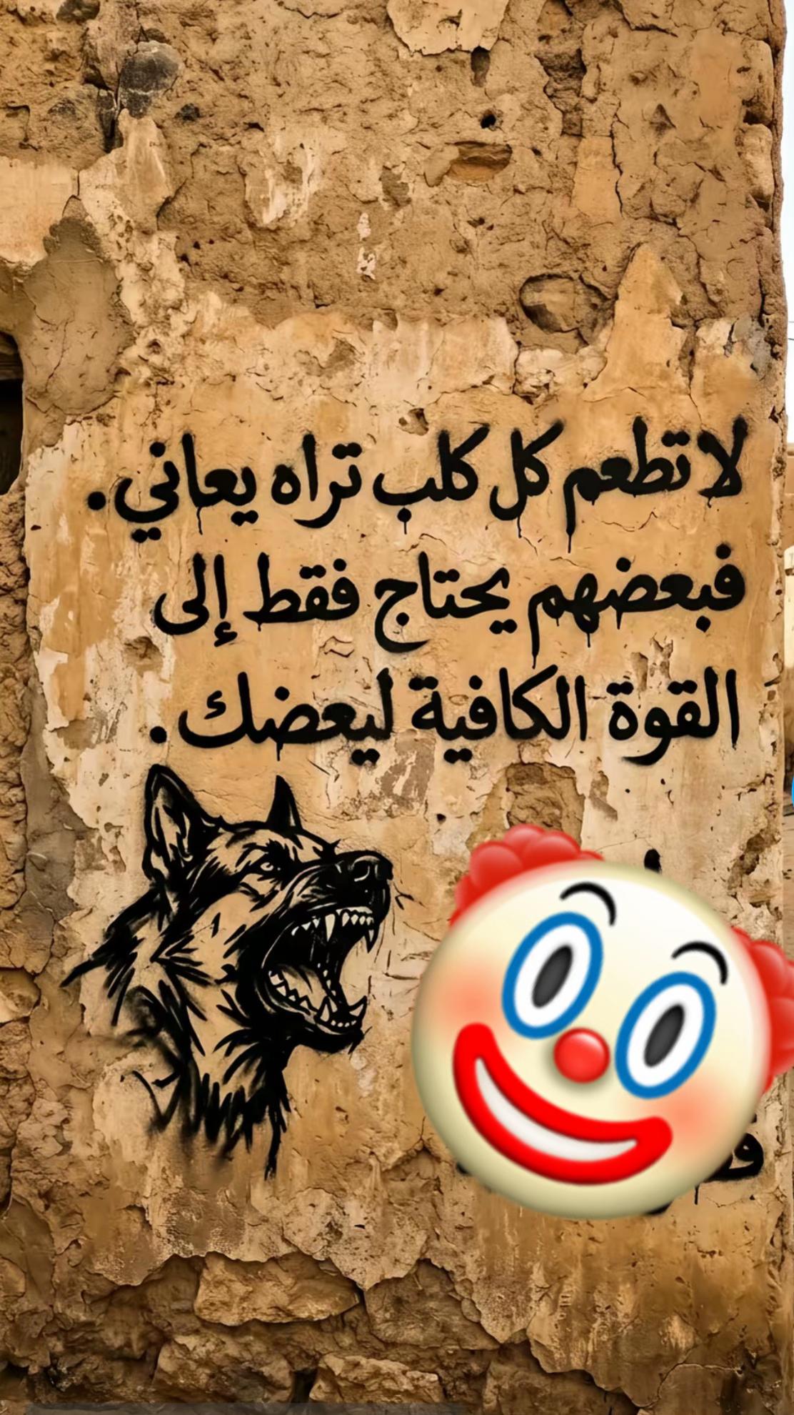 @mansourlagha