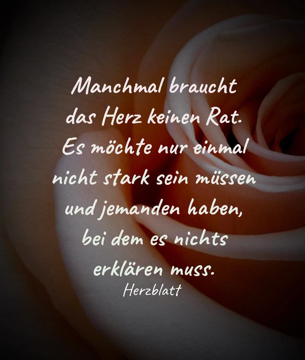 @Birgit Maus 2