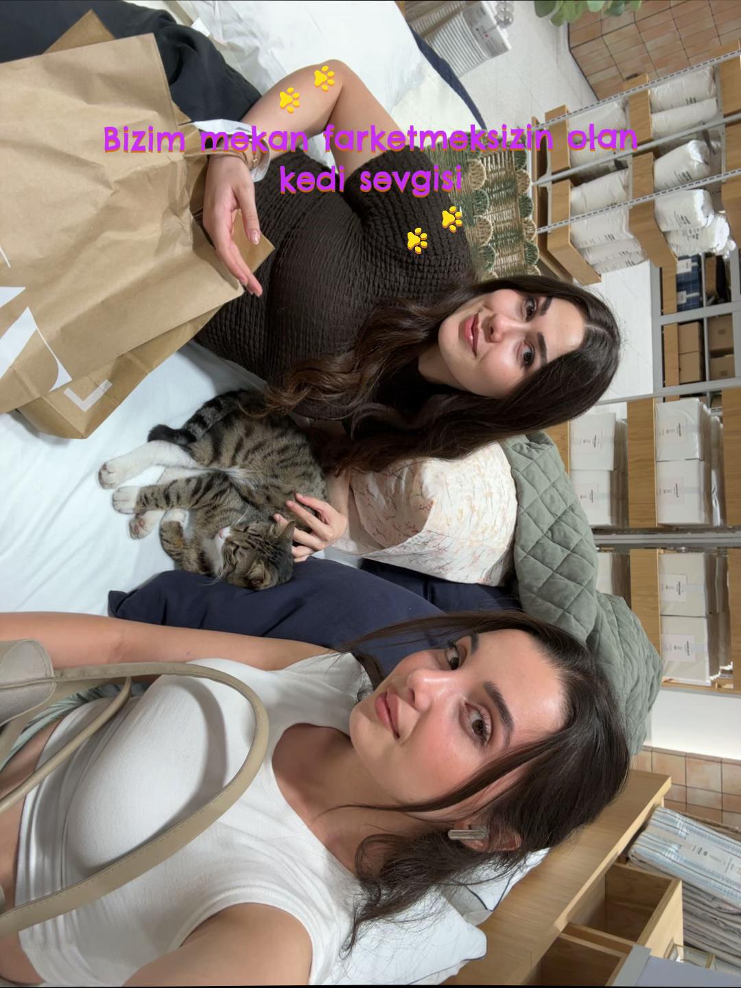 @avcı.x