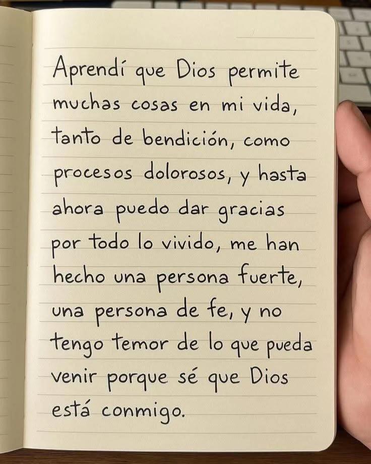@Wilmi francisco