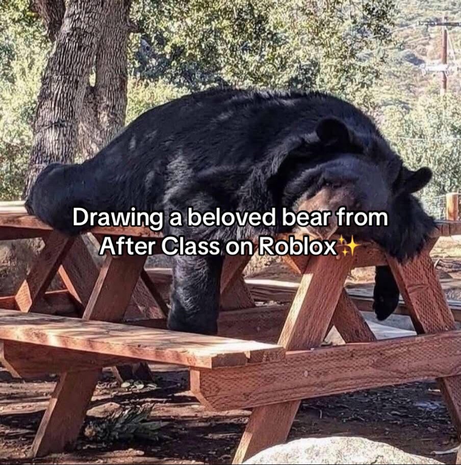 @Drewy🐻❄️❤️