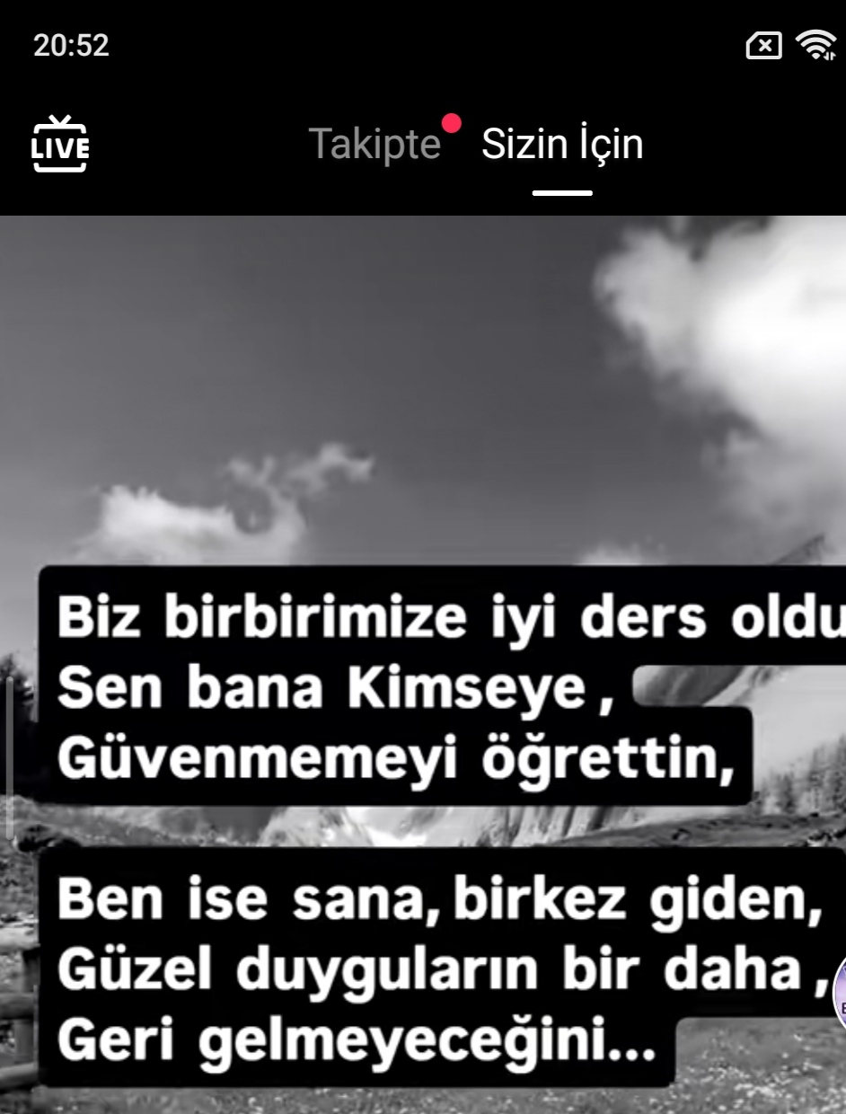 @Sibel Oktay