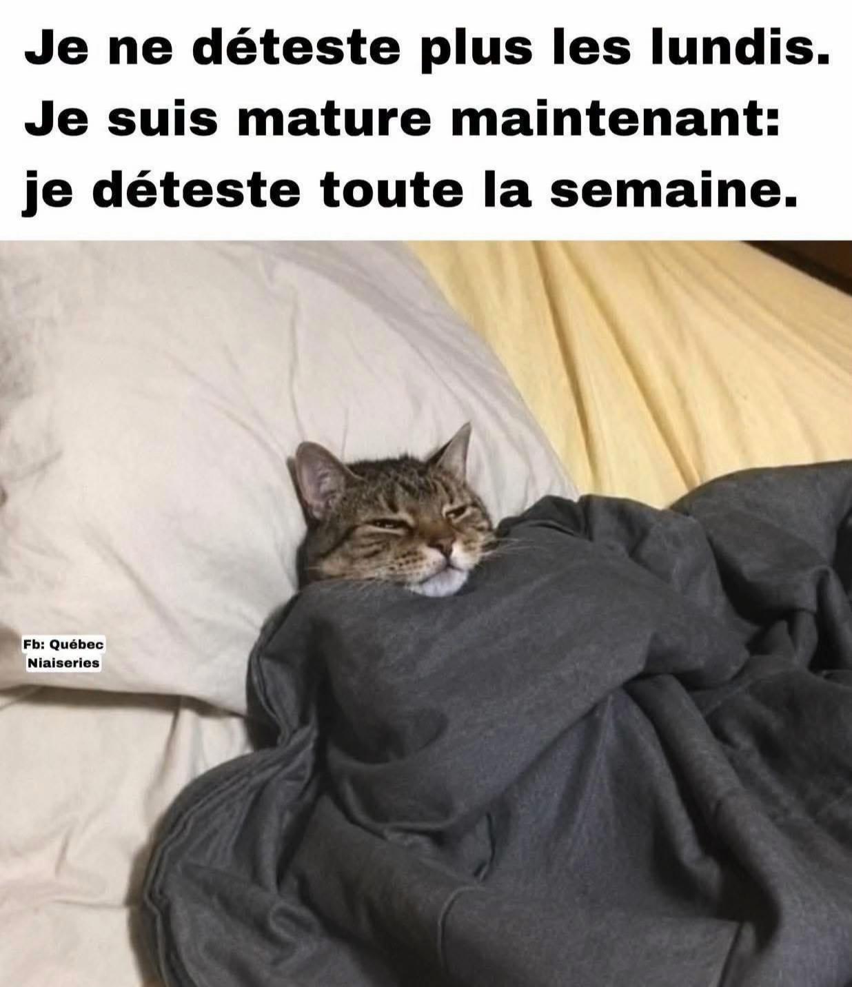 @Nadbougies