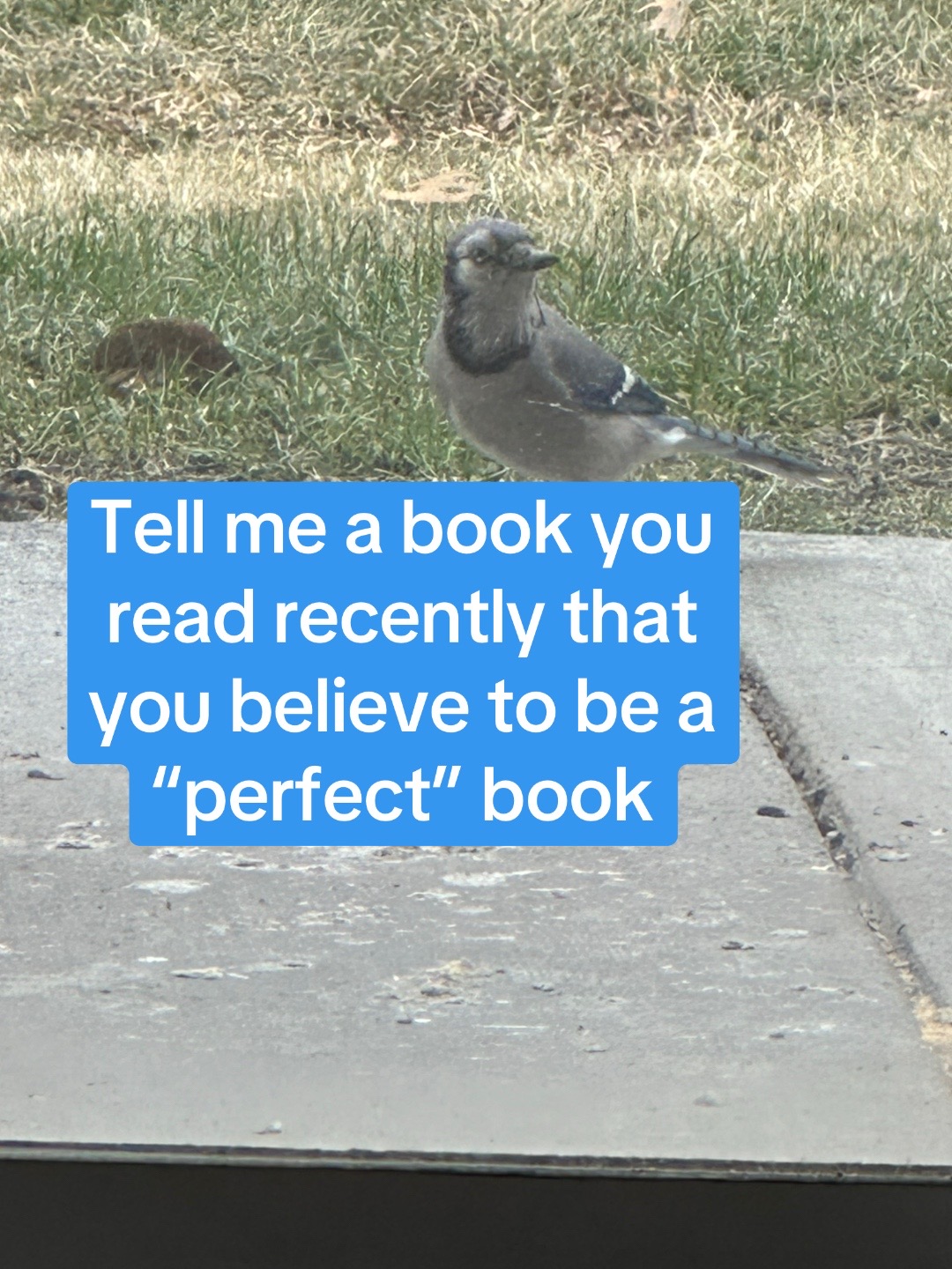 @ellietheauthor