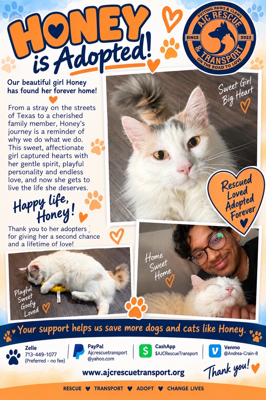 @AJC Rescue and Transport
