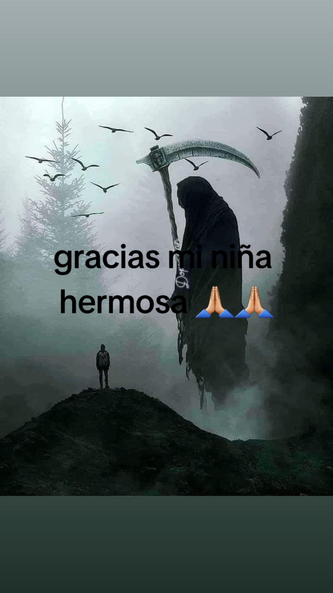 @sombra5060