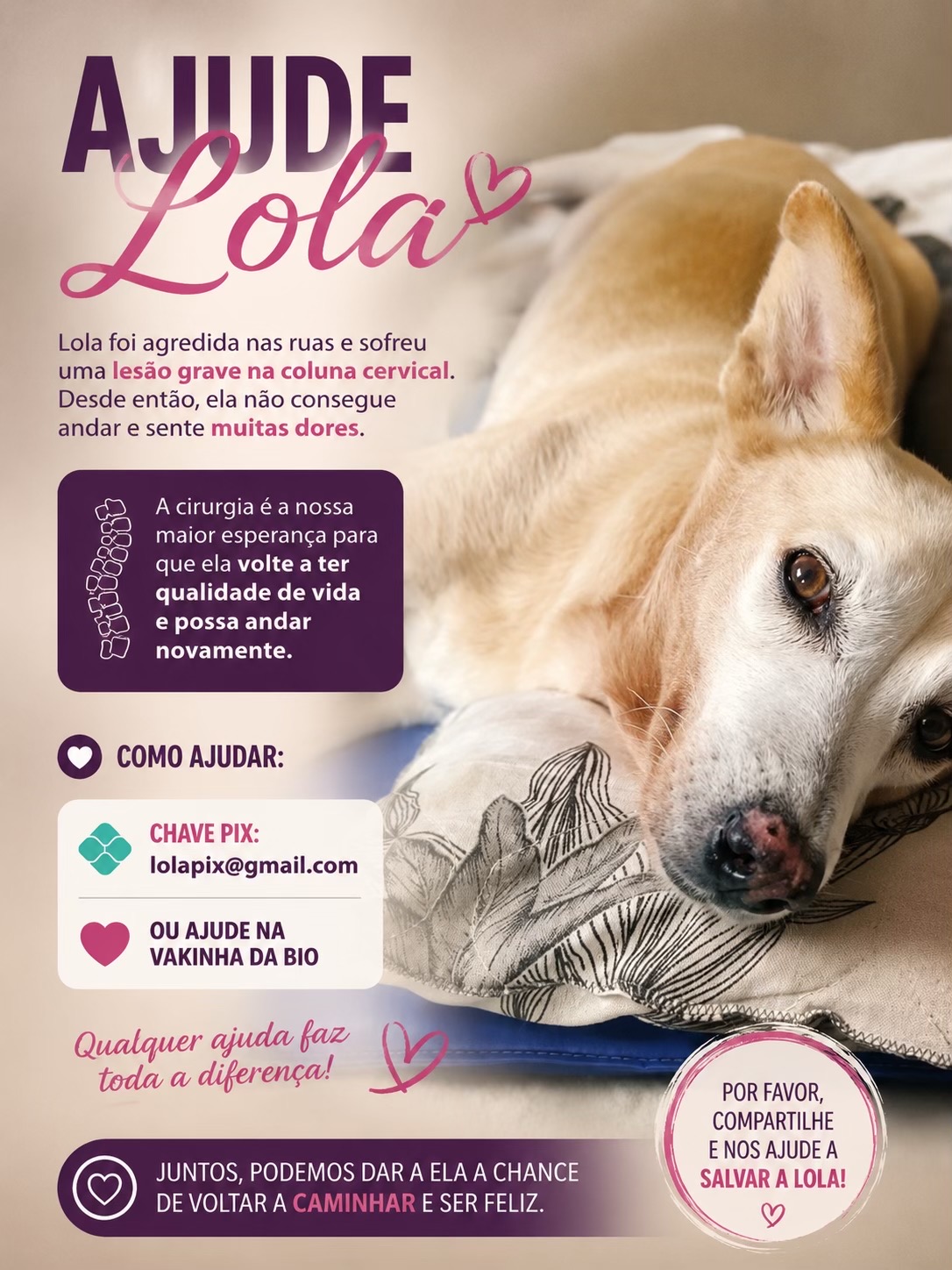 @Ajude a Lola