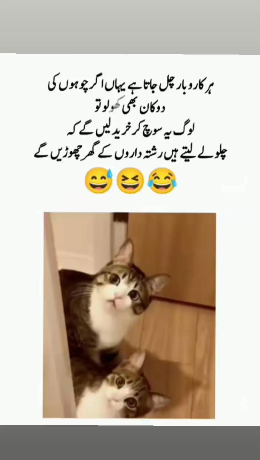 @✨Rãbwâh Âly💫