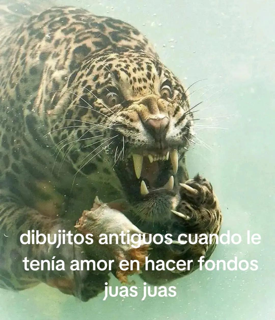 @Ljbalatrez