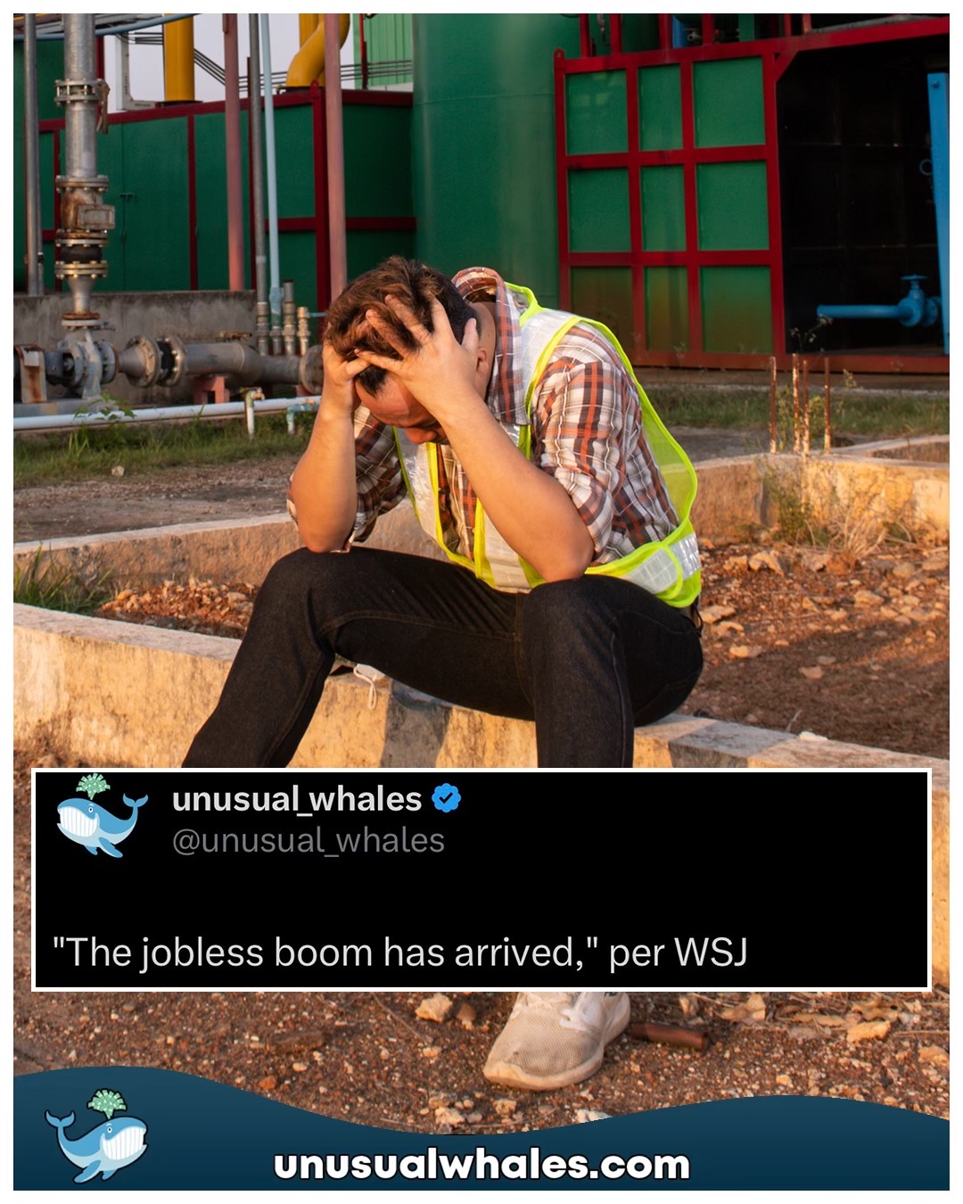 @Unusual Whales