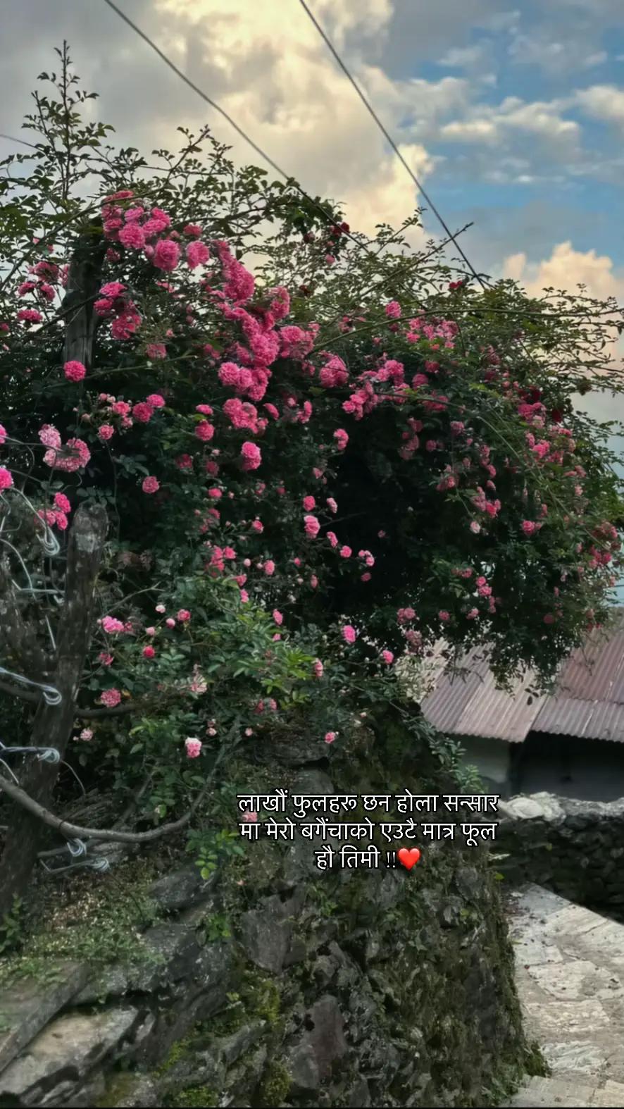 @Usha bhattarai
