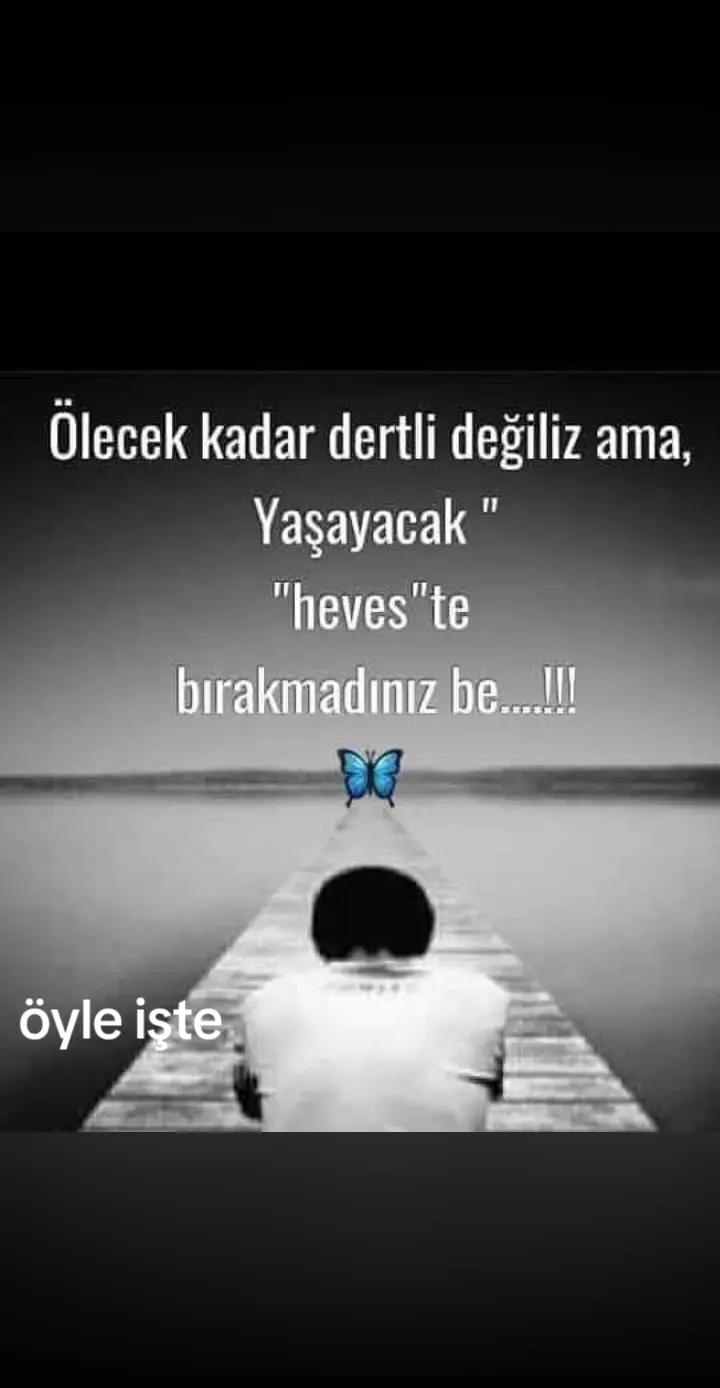 @Nilufer Kurcan