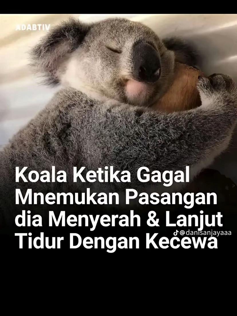 @muhammad