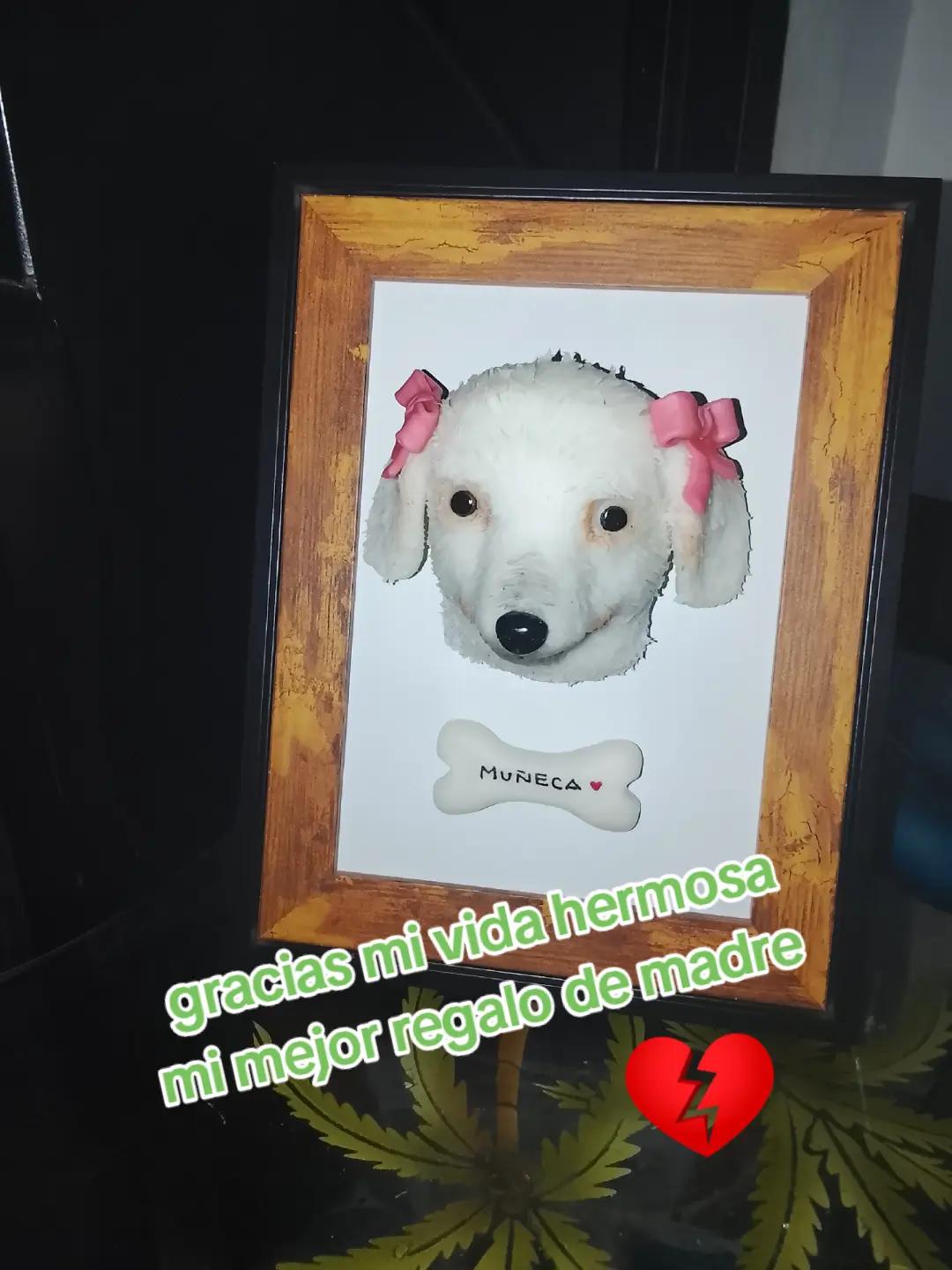 @mer1308๐ซ๐๐๐ณ๏ธ๐